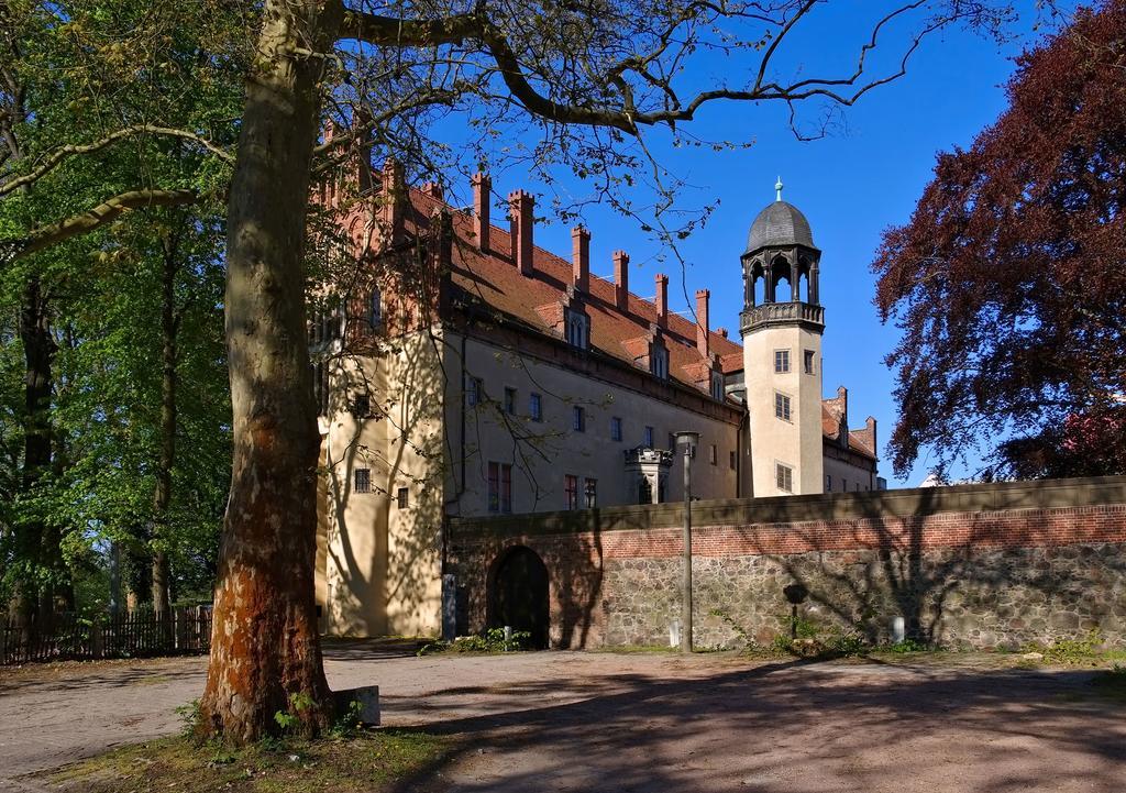 Ferienwohnungen Eule Wittenberg Eksteriør billede